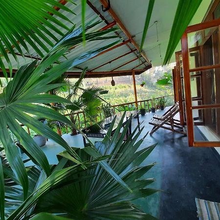 Serenity Homestay Procida Dış mekan fotoğraf