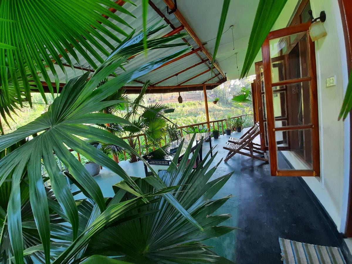 Serenity Homestay Procida Dış mekan fotoğraf