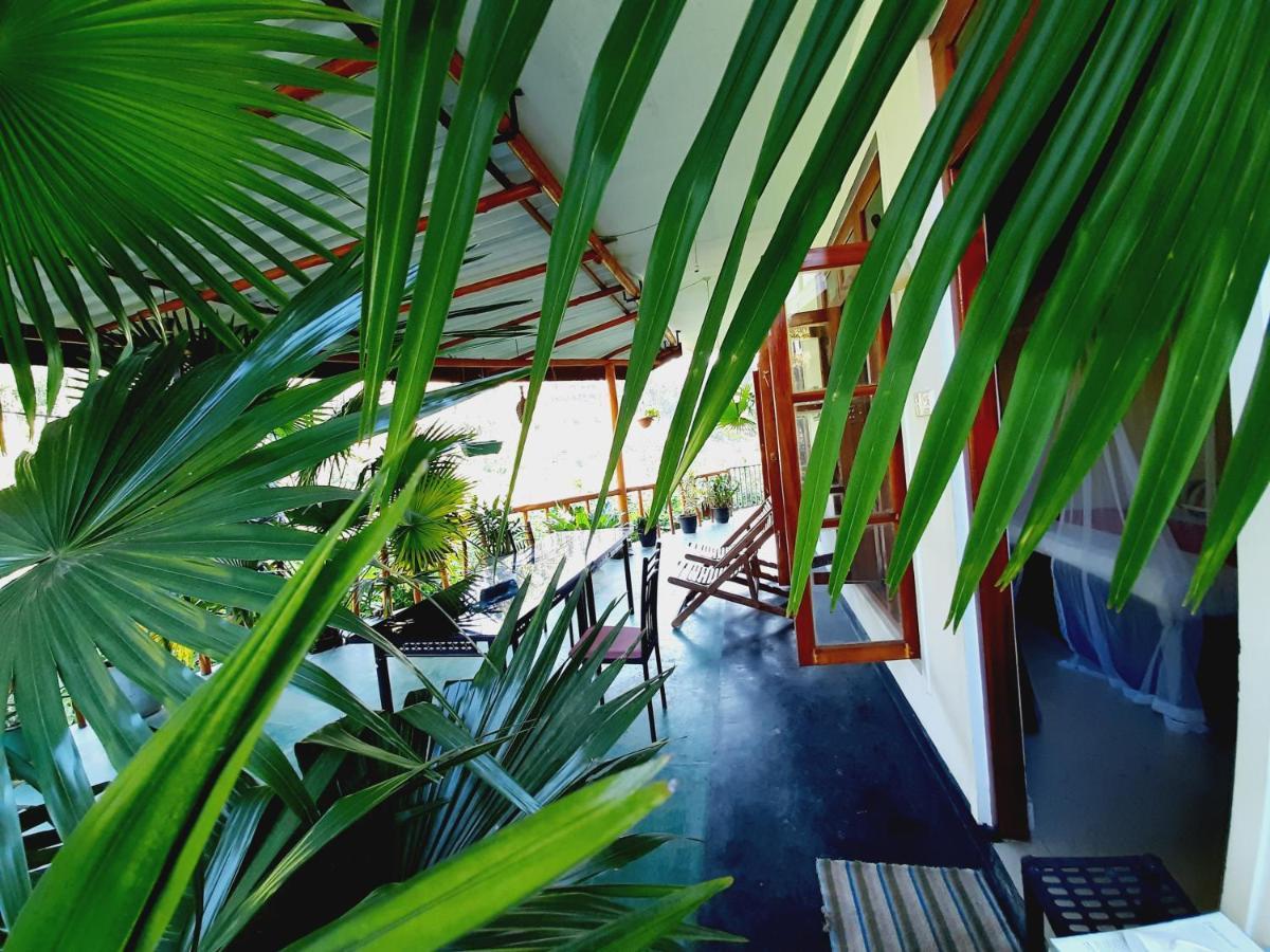 Serenity Homestay Procida Dış mekan fotoğraf