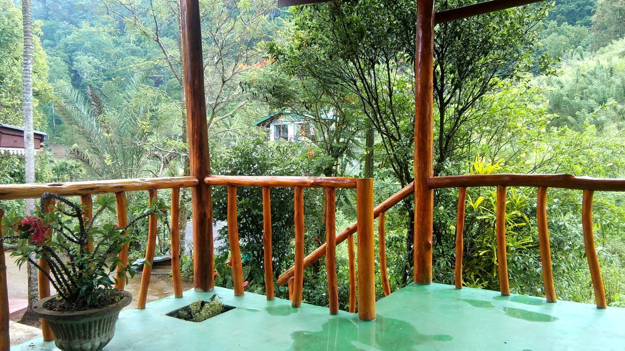 Serenity Homestay Procida Dış mekan fotoğraf